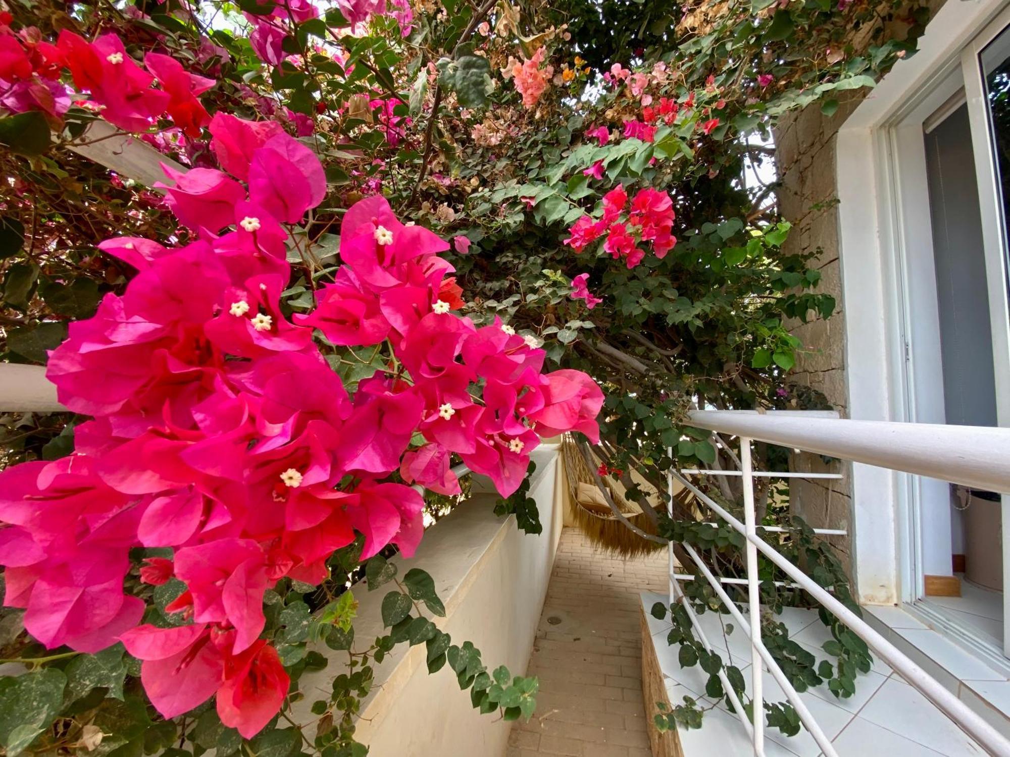 Terra Kriola Aparthotel Sal Rei Exterior photo